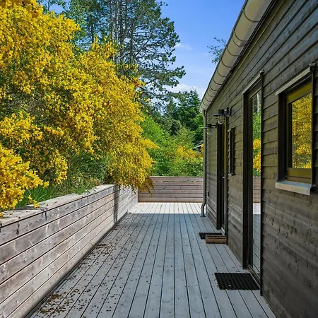 Hébergement de vacances Modern In Handrup Bakker Close To And Nature